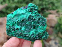 Natural Silky Malachite Specimens x 6 From Kasompe, Congo