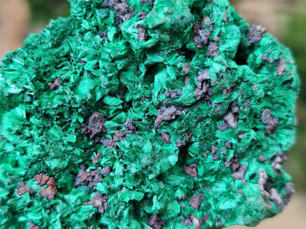 Natural Silky Malachite Specimens x 6 From Kasompe, Congo