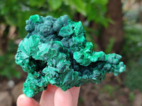 Natural Silky Malachite Specimens x 6 From Kasompe, Congo