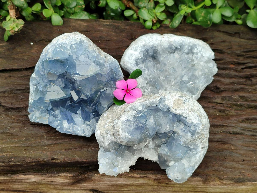 Polished Blue Celestite Geodes x 3 From Sakoany, Madagascar