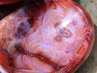 Polished Large Carnelian Agate Gemstone Bowls x 2 From Madagascar
