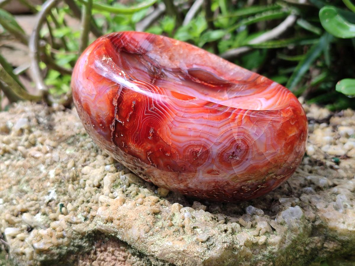 Polished Large Carnelian Agate Gemstone Bowls x 2 From Madagascar