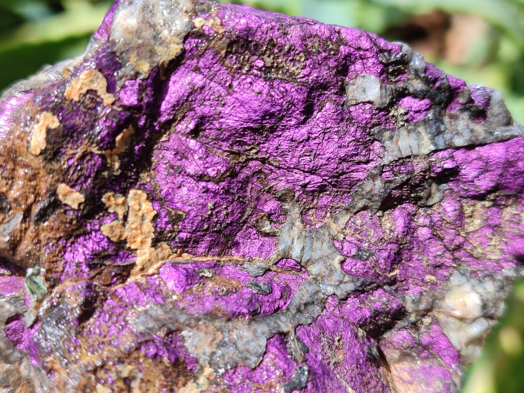 Natural Metallic Cobbed Purpurite Specimens x 6 From Erongo, Namibia
