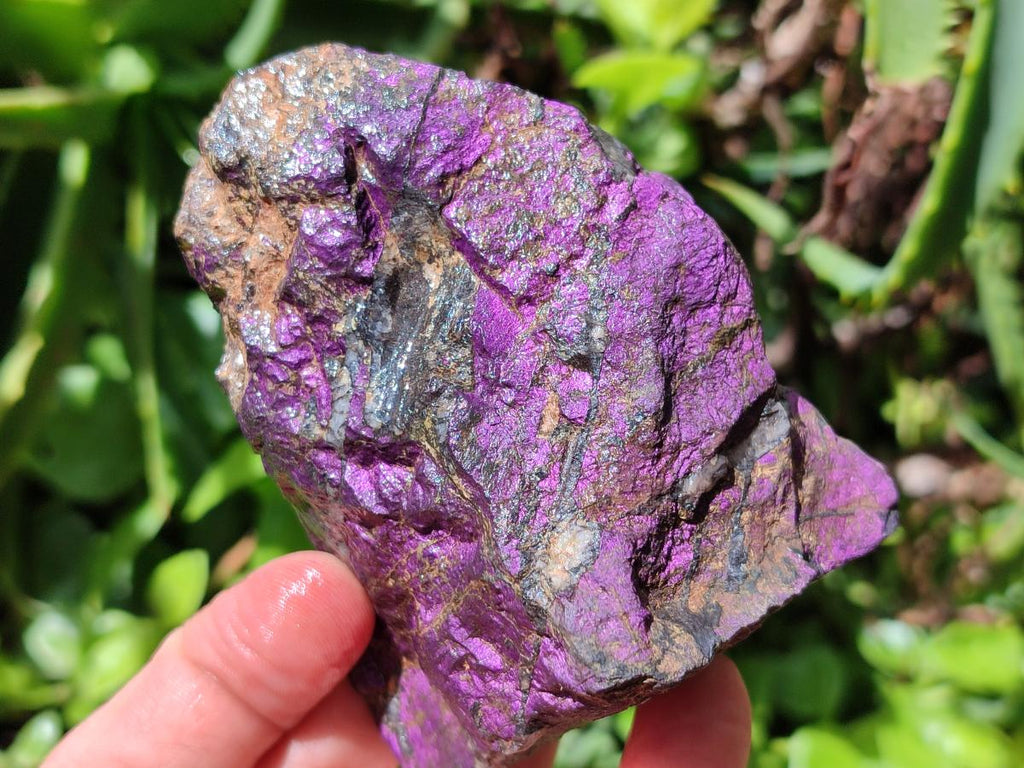 Natural Metallic Cobbed Purpurite Specimens x 6 From Erongo, Namibia