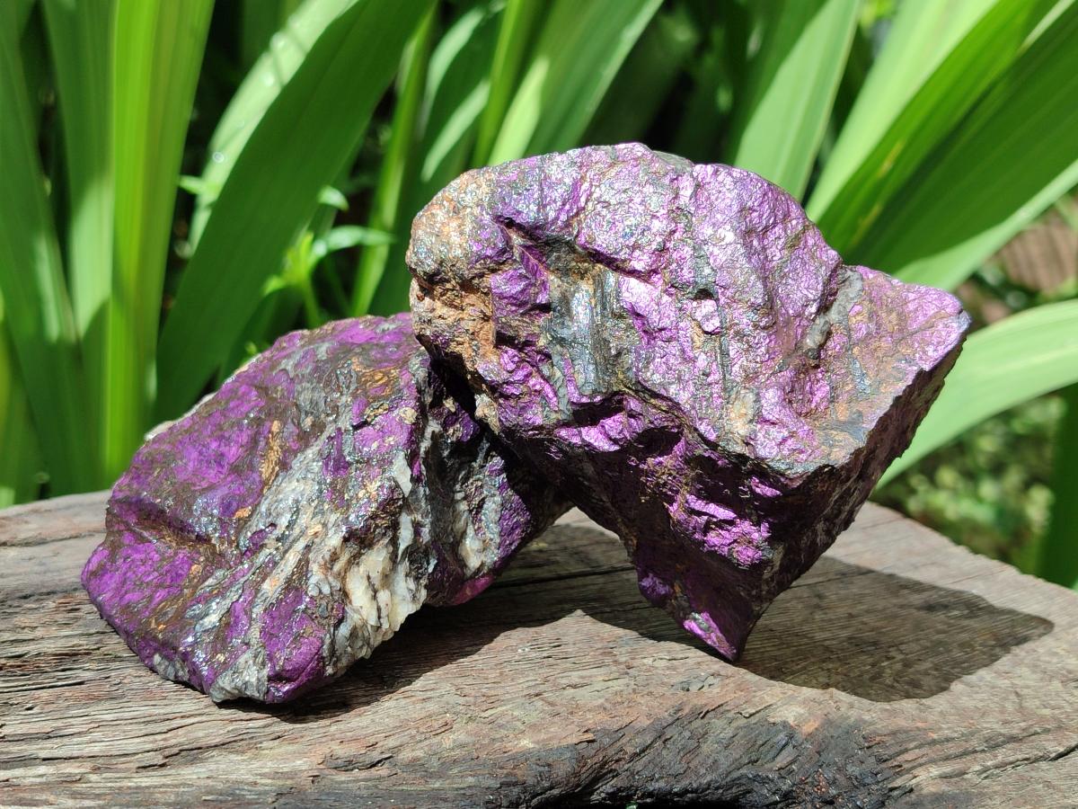 Natural Metallic Cobbed Purpurite Specimens x 6 From Erongo, Namibia