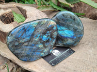 Polished Labradorite Standing Free Forms x 2 From Tulear, Madagascar