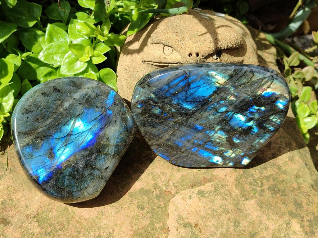 Polished Labradorite Standing Free Forms x 2 From Tulear, Madagascar