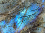 Polished Labradorite Standing Free Forms x 2 From Tulear, Madagascar