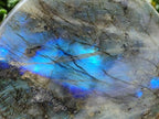 Polished Labradorite Standing Free Forms x 2 From Tulear, Madagascar