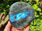Polished Labradorite Standing Free Forms x 2 From Tulear, Madagascar