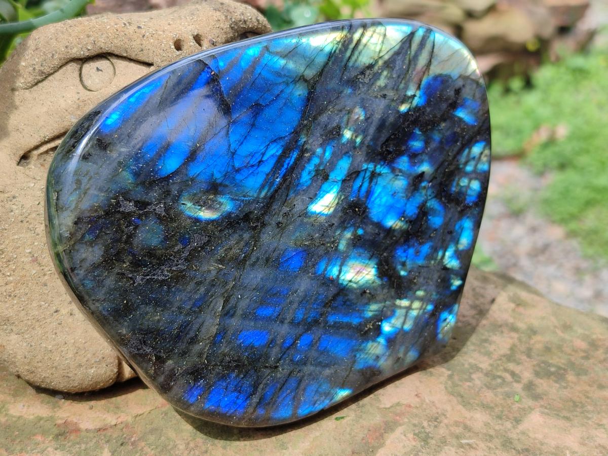 Polished Labradorite Standing Free Forms x 2 From Tulear, Madagascar