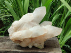 Natural XL Clear Cascading Quartz Crystal Cluster x 1 From Madagascar