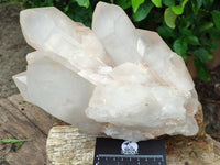 Natural XL Clear Cascading Quartz Crystal Cluster x 1 From Madagascar