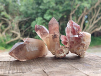 Natural Red Hematoid Quartz Crystals and Clusters x 12 From Karoi, Zimbabwe