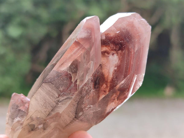 Natural Red Hematoid Quartz Crystals and Clusters x 12 From Karoi, Zimbabwe