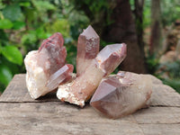 Natural Red Hematoid Quartz Crystals and Clusters x 12 From Karoi, Zimbabwe