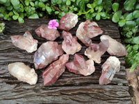 Natural Red Hematoid Quartz Crystals and Clusters x 12 From Karoi, Zimbabwe