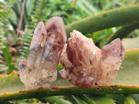 Natural Red Hematoid Quartz Crystals and Clusters x 12 From Karoi, Zimbabwe