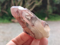 Natural Red Hematoid Quartz Crystals and Clusters x 12 From Karoi, Zimbabwe