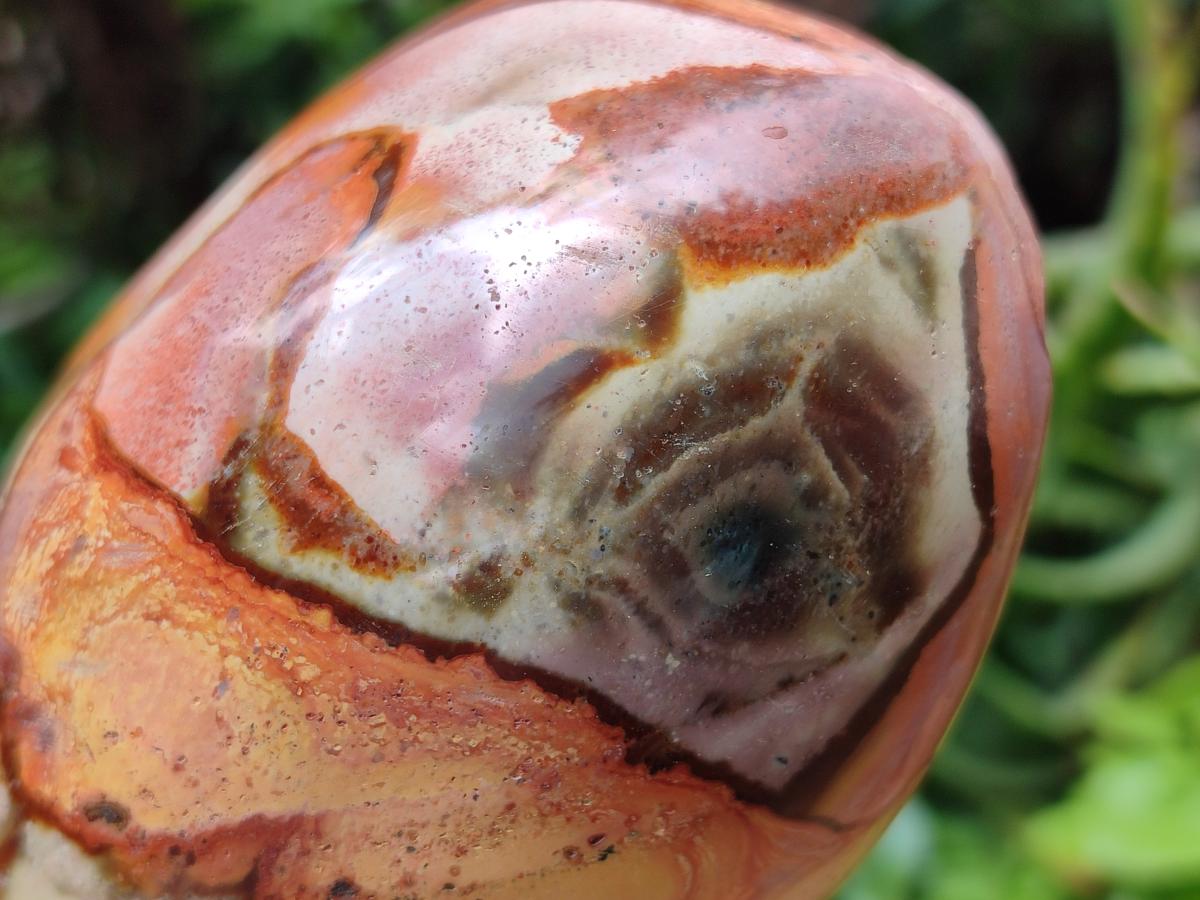 Polished On One Side Polychrome Jasper Nodules x 4 From NW Coast, Madagascar