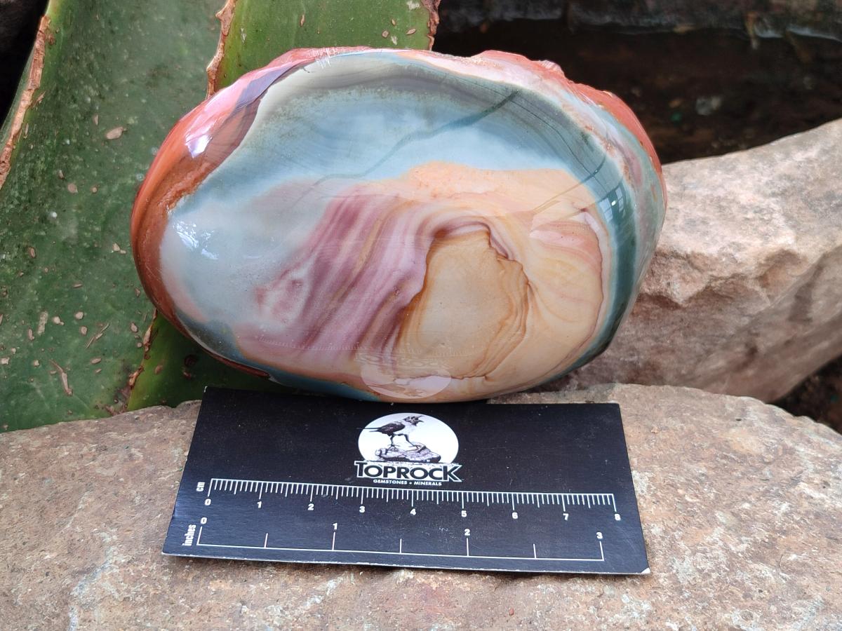 Polished On One Side Polychrome Jasper Nodules x 4 From NW Coast, Madagascar
