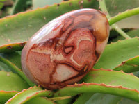 Polished On One Side Polychrome Jasper Nodules x 4 From NW Coast, Madagascar