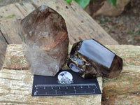 Polished Smokey Window Quartz Crystals x 3 From Madagascar
