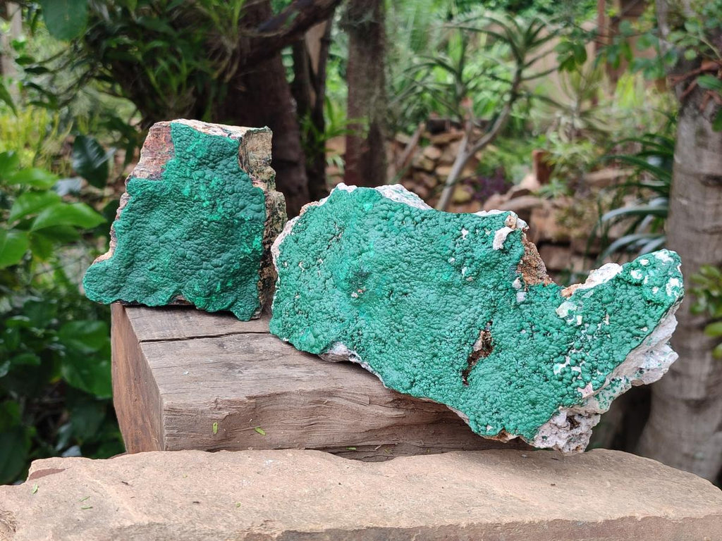 Natural Botryoidal Malachite Specimen x 2 From Congo
