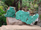 Natural Botryoidal Malachite Specimen x 2 From Congo