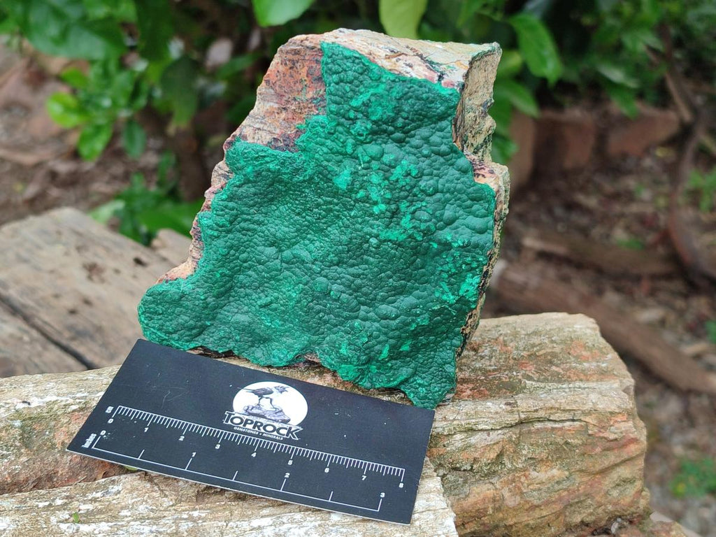 Natural Botryoidal Malachite Specimen x 2 From Congo