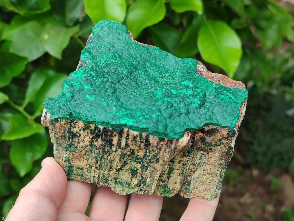 Natural Botryoidal Malachite Specimen x 2 From Congo