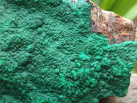 Natural Botryoidal Malachite Specimen x 2 From Congo