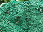 Natural Botryoidal Malachite Specimen x 2 From Congo