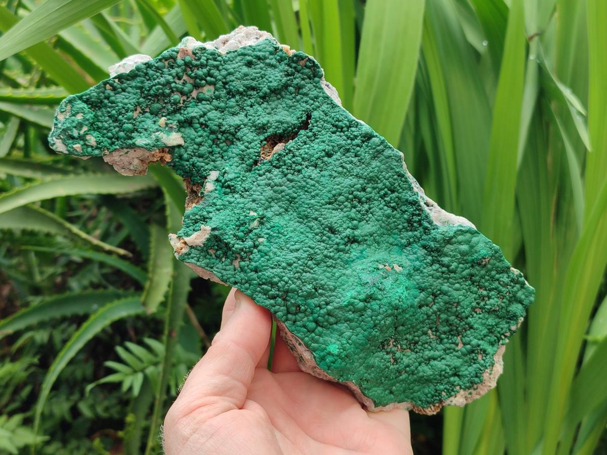 Natural Botryoidal Malachite Specimen x 2 From Congo