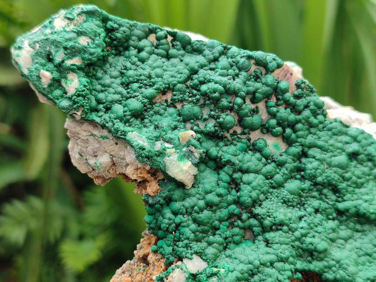 Natural Botryoidal Malachite Specimen x 2 From Congo