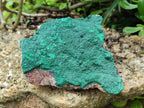Natural Botryoidal Malachite Specimen x 2 From Congo