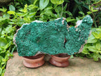 Natural Botryoidal Malachite Specimen x 2 From Congo