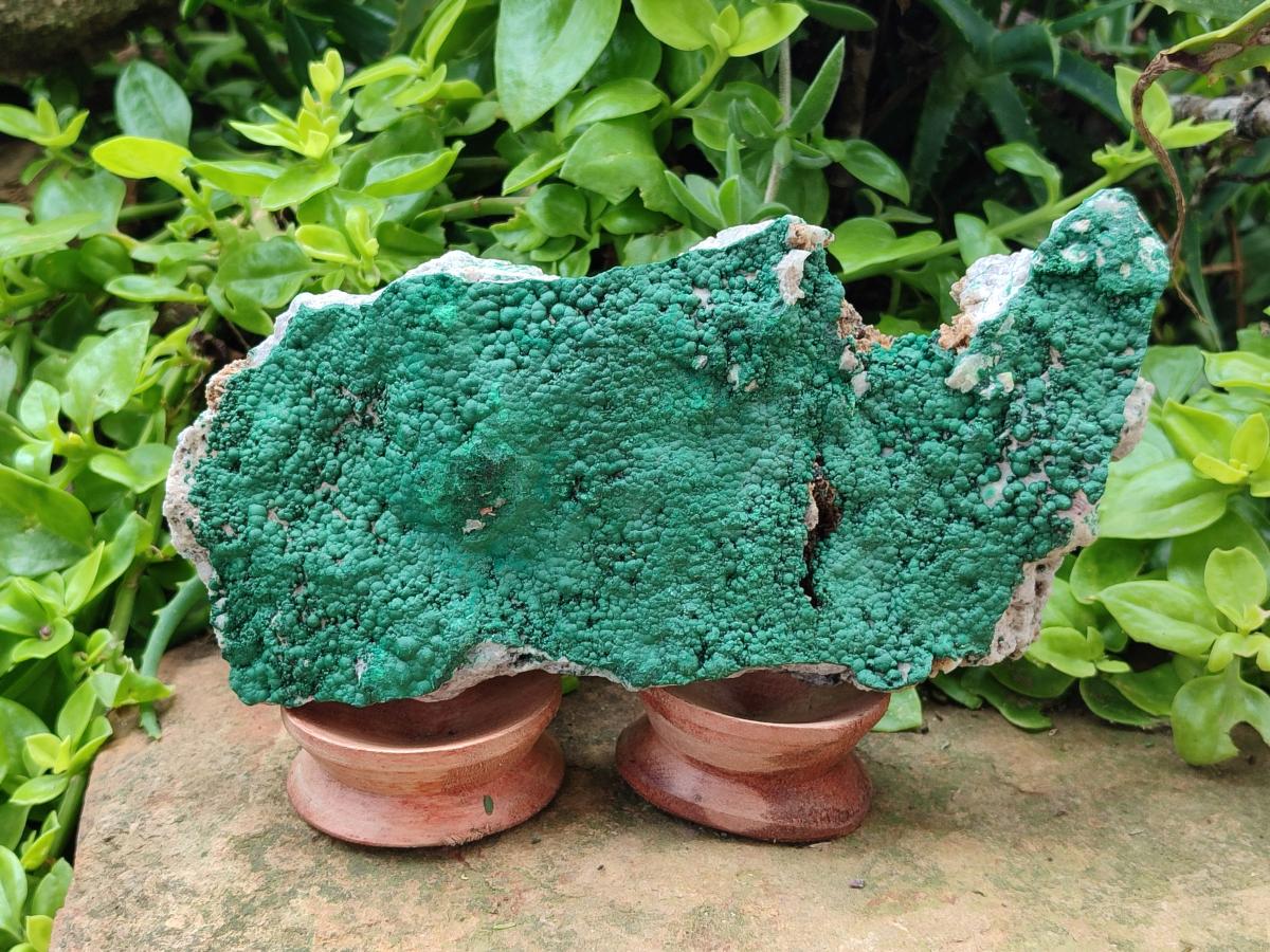 Natural Botryoidal Malachite Specimen x 2 From Congo