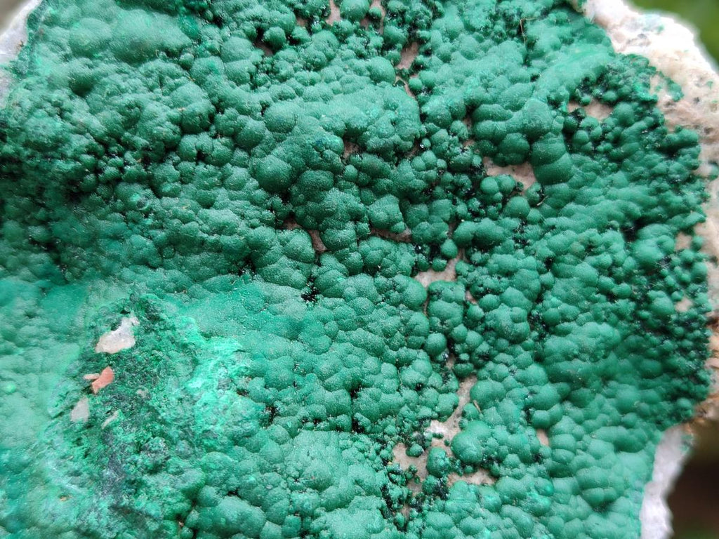 Natural Botryoidal Malachite Specimen x 2 From Congo