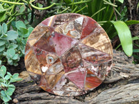 Hand Made Red Podocarpus Petrified Wood Conglomerate Plaque x 4 From Mahajanga, Madagascar