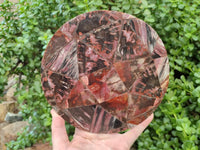 Hand Made Red Podocarpus Petrified Wood Conglomerate Plaque x 4 From Mahajanga, Madagascar