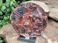 Hand Made Red Podocarpus Petrified Wood Conglomerate Plaque x 4 From Mahajanga, Madagascar