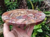 Hand Made Red Podocarpus Petrified Wood Conglomerate Plaque x 4 From Mahajanga, Madagascar
