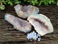 Polished Amethyst Agate Geodes x 3 From Maintirano, Madagascar