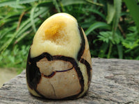 Polished Mixed of Septerye Eggs and Standing Free Forms x 6 From Mahajanga, Madagascar