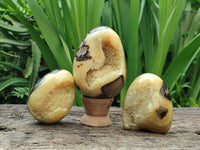 Polished Mixed of Septerye Eggs and Standing Free Forms x 6 From Mahajanga, Madagascar