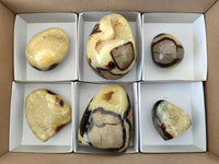 Polished Mixed of Septerye Eggs and Standing Free Forms x 6 From Mahajanga, Madagascar