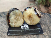 Polished Mixed of Septerye Eggs and Standing Free Forms x 6 From Mahajanga, Madagascar