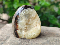 Polished Mixed of Septerye Eggs and Standing Free Forms x 6 From Mahajanga, Madagascar