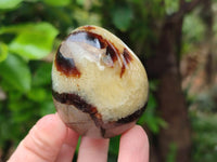 Polished Mixed of Septerye Eggs and Standing Free Forms x 6 From Mahajanga, Madagascar